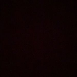 Meet your Posher, Isaias